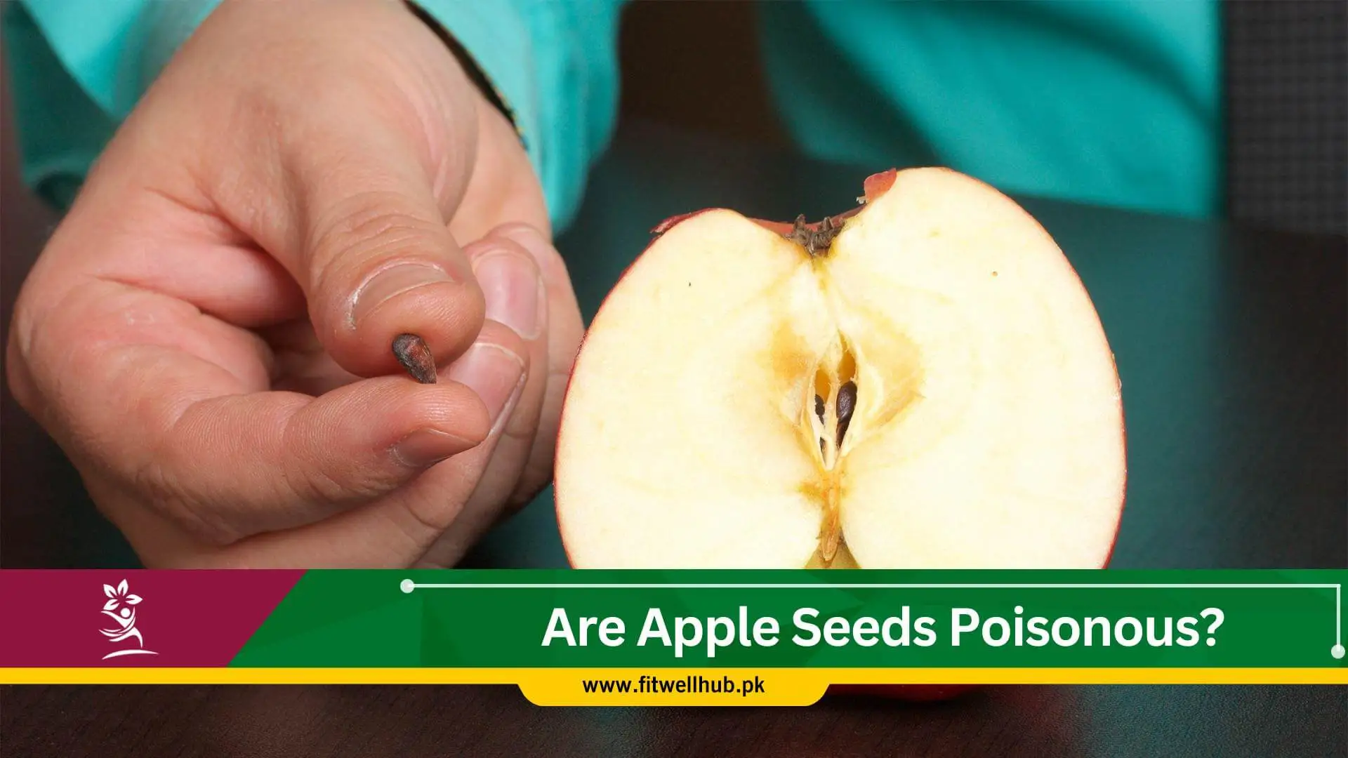 Apple seeds